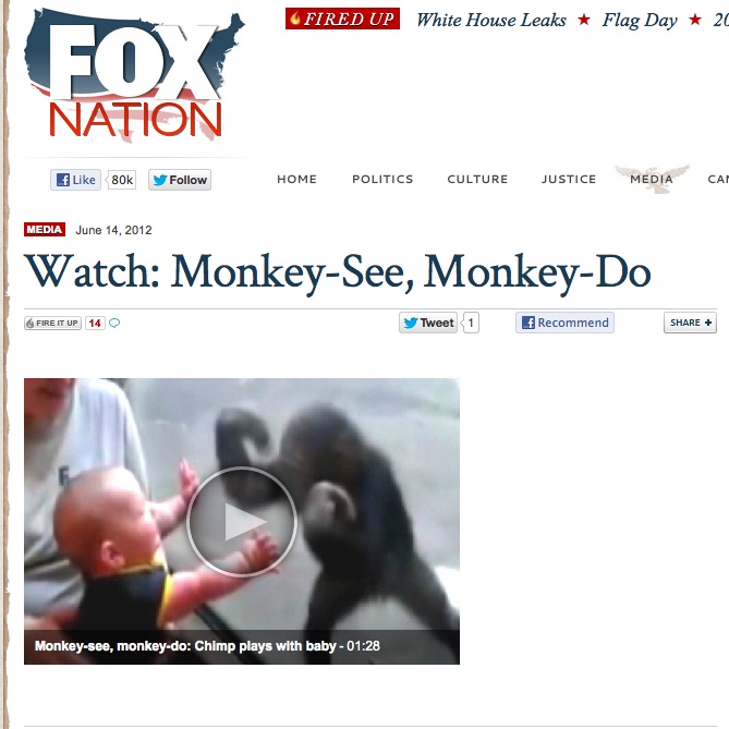 monkey_article.jpg